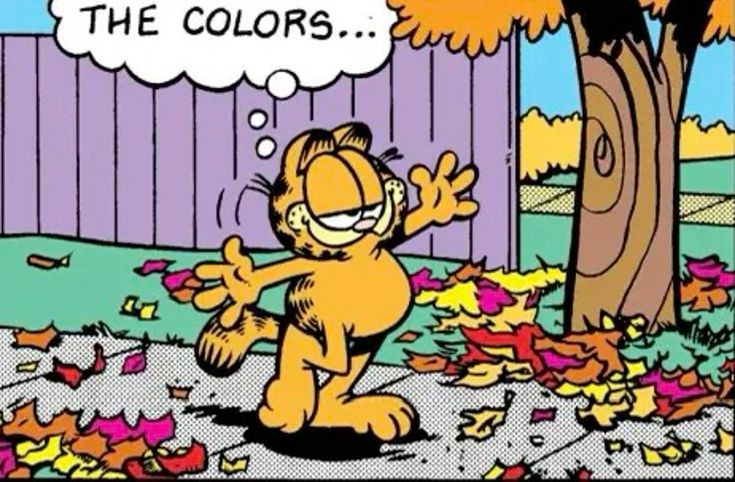 garfield enjos fall