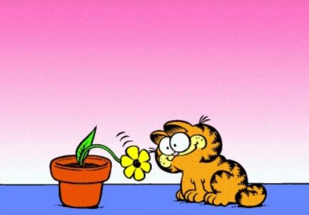 garfield with 6 chins