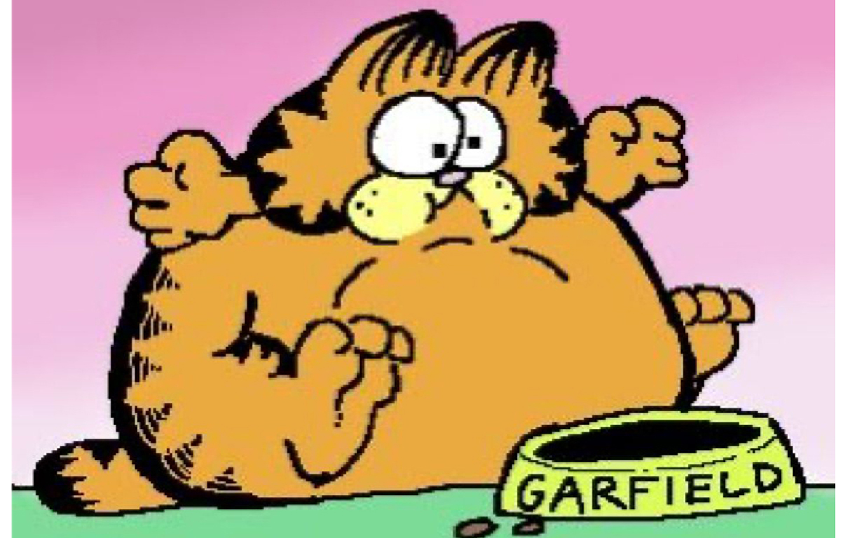 bloated garfield
