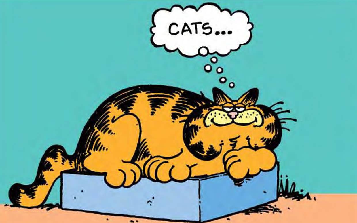 garfield dreams of cats