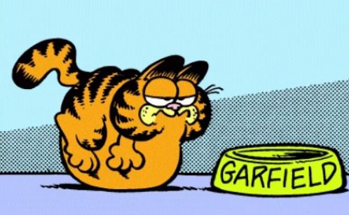 garfield bloated again